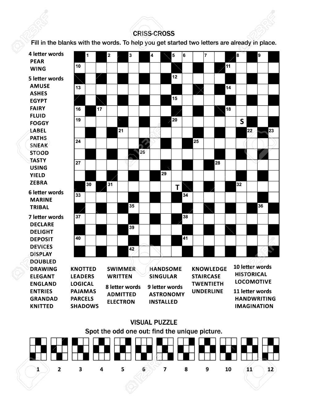 Puzzle Page With 19x19 Criss cross fill in Crossword Word Game English Language And Visual Puzzle With Cats Spot The Odd One Out Find The Unique Picture Royalty Free SVG Cliparts Vectors And Stock