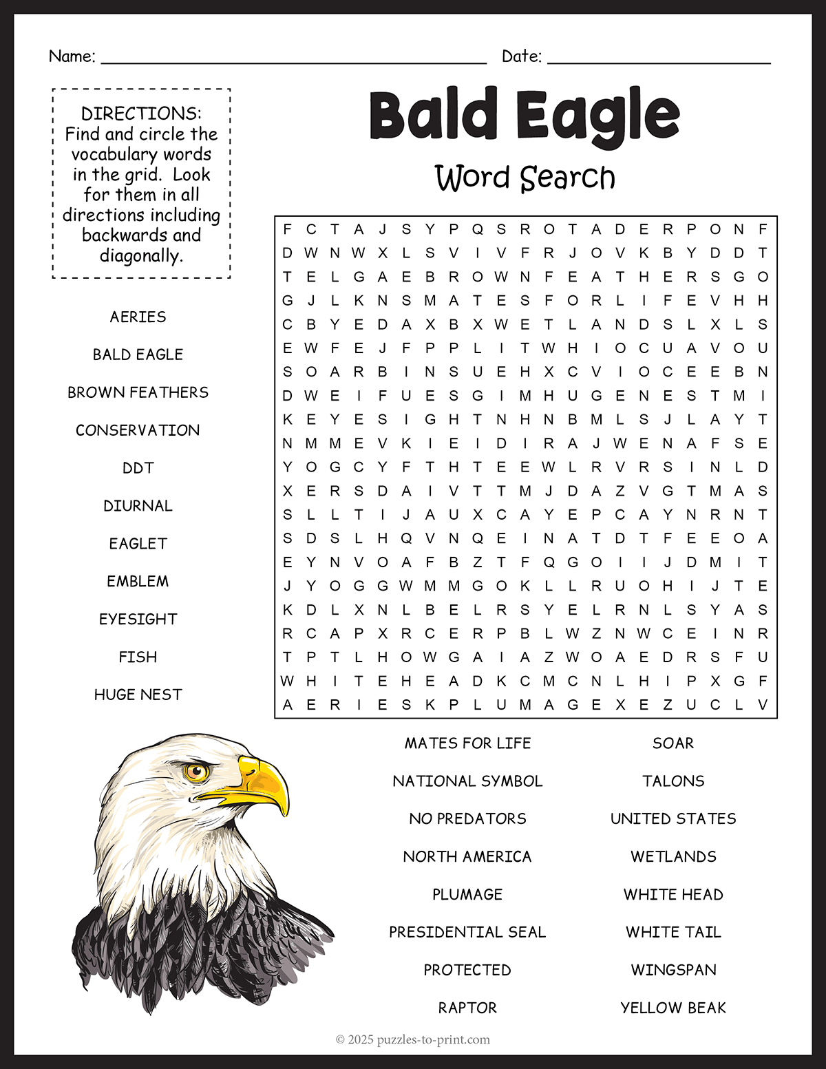 Bald Eagle Word Search Free Printable Easy Challenging 
