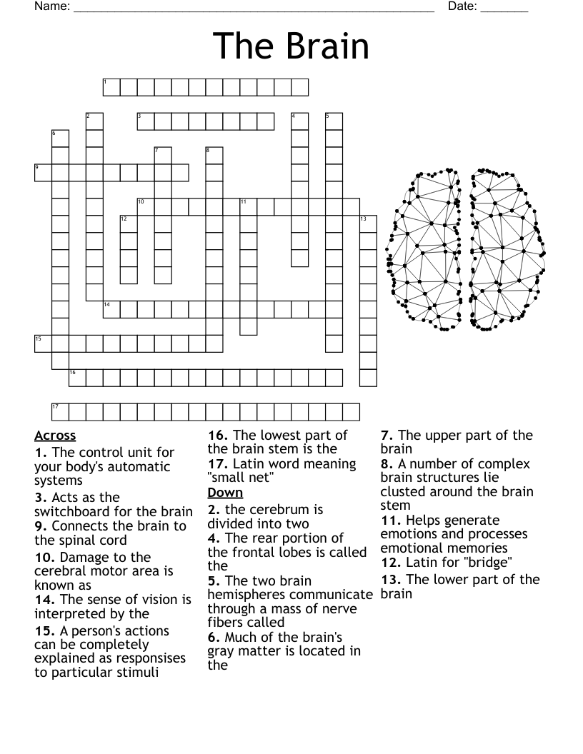 Brain Game Worksheet WordMint