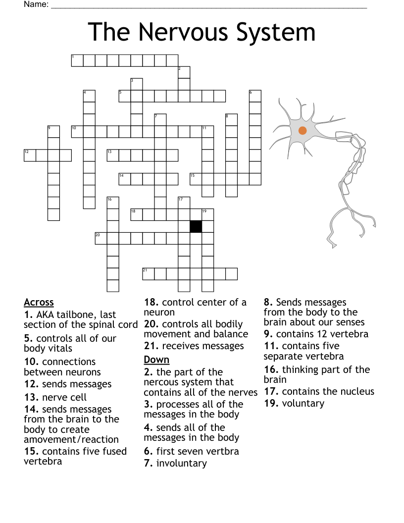 Chiropractic Crossword WordMint