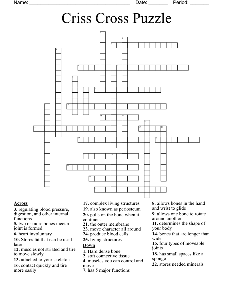 Criss Cross Puzzle Crossword WordMint Criss Cross Puzzle Crossword WordMint