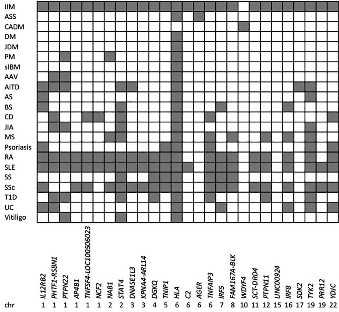 Frontiers The Genetics Of Autoimmune Myositis