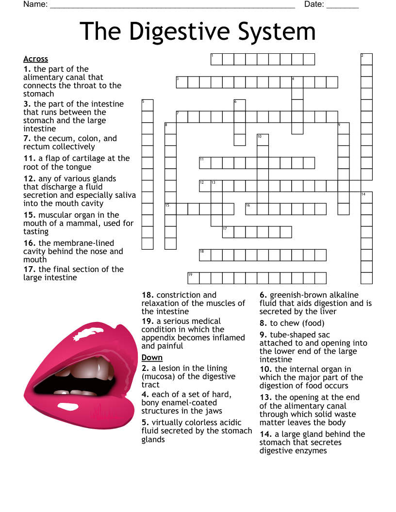 General Knowledge Crossword WordMint General Knowledge Crossword WordMint