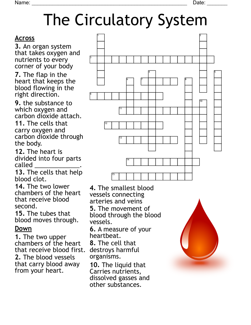 Grade 9 English Crossword WordMint