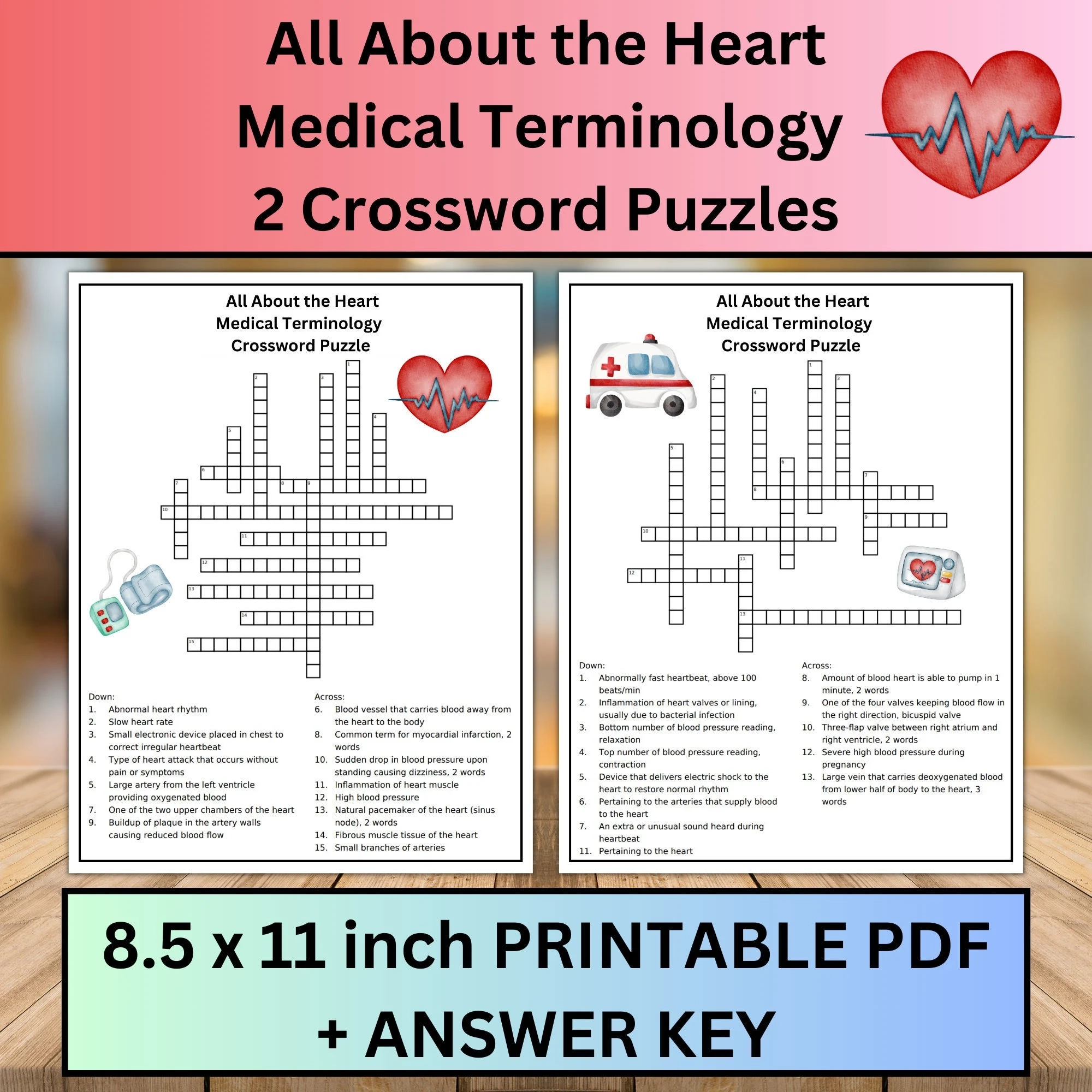 Heart Medical Terminology Crossword Puzzles Classroom Game digital Download Etsy