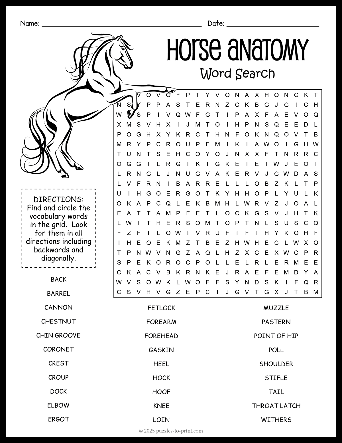 Horse Anatomy Word Search Free Printable Easy Challenging 