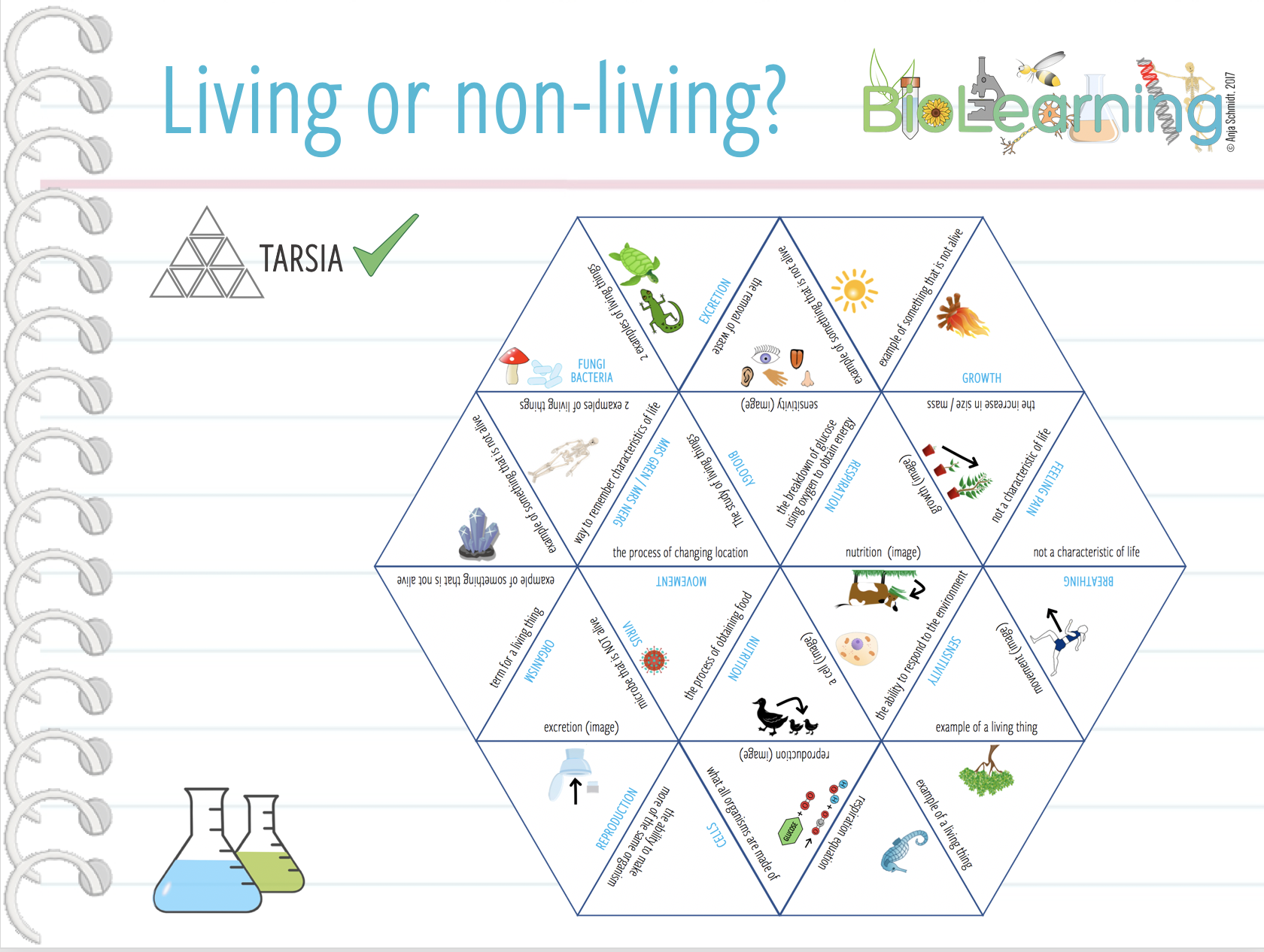 Living Or Non living Tarsia KS2 3 Teaching Resources