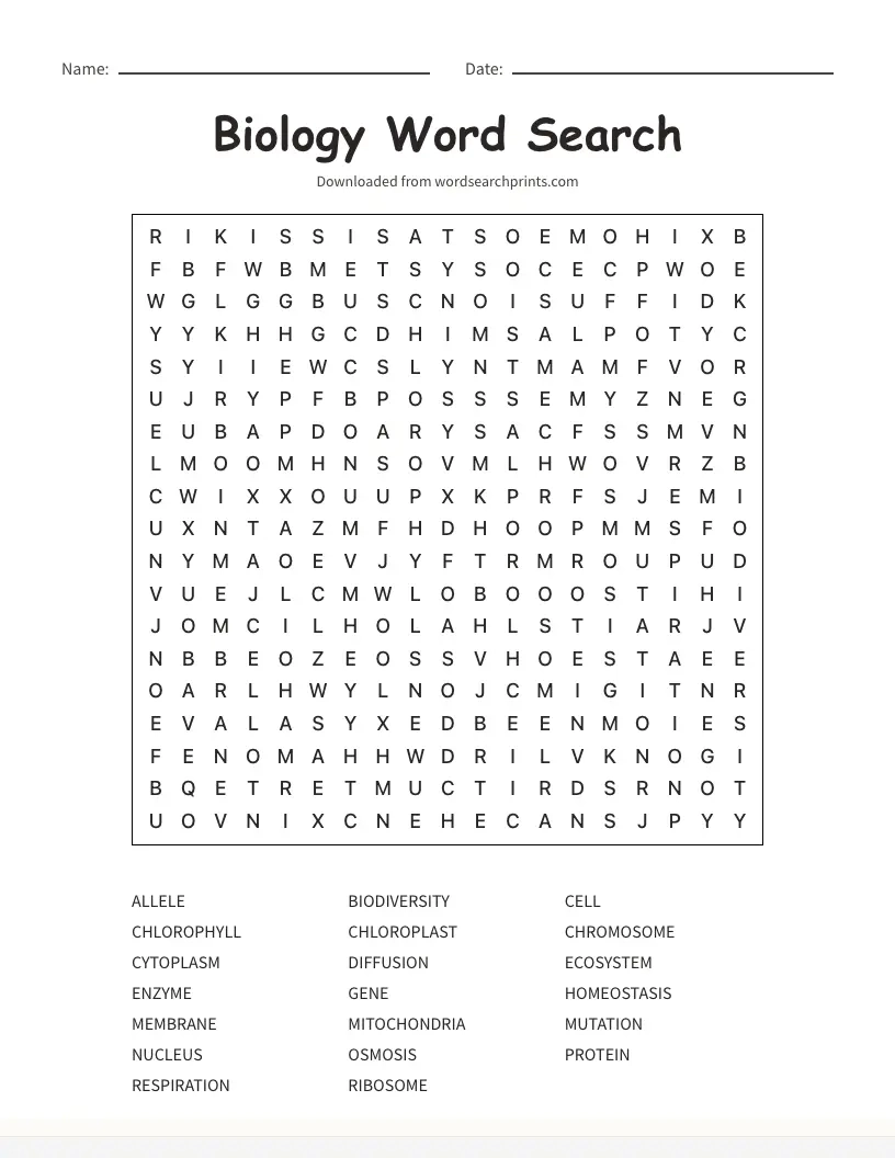 Middle School Word Search Puzzles Word Search