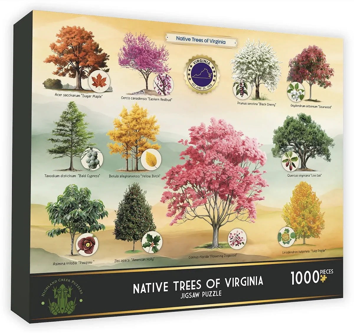 Native Trees Of Virginia 1000 Piece Puzzle World Of Mirth