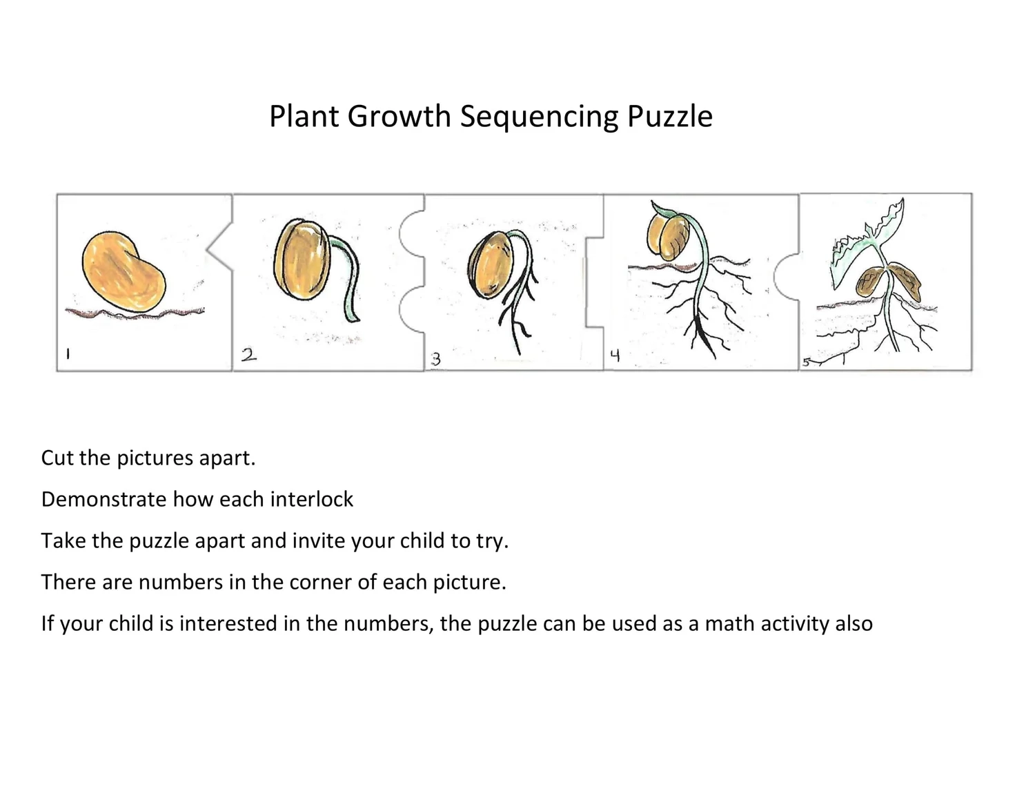 Spring Sequencing Puzzle Pioneer Valley Montessori School