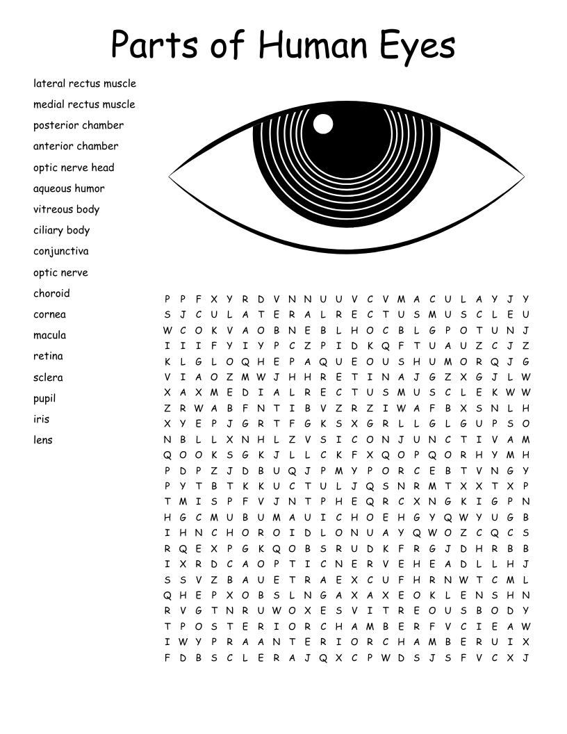 Stay Sharp With These 7 Free Daily Word Search Puzzles Worksheets Library